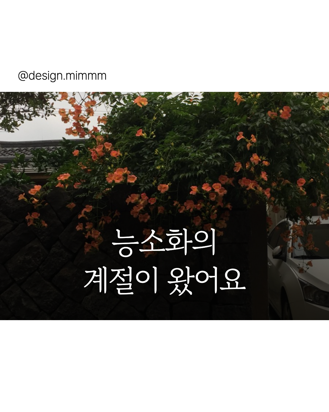 카드뉴스 만드는 앱 추천 크뉴 사용법 썸네일